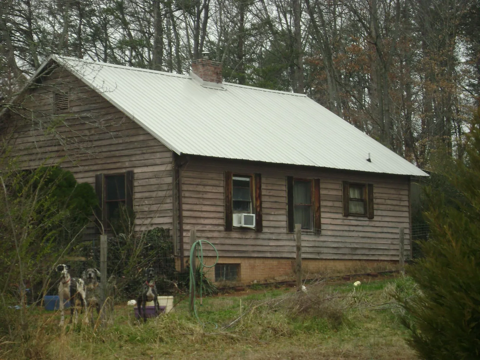 White metal roof on an old wood sided farmhouse, from a Metal Roof Installation job in Felda